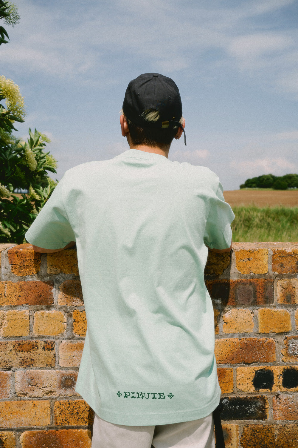 Celtic Lion - Misty Jade