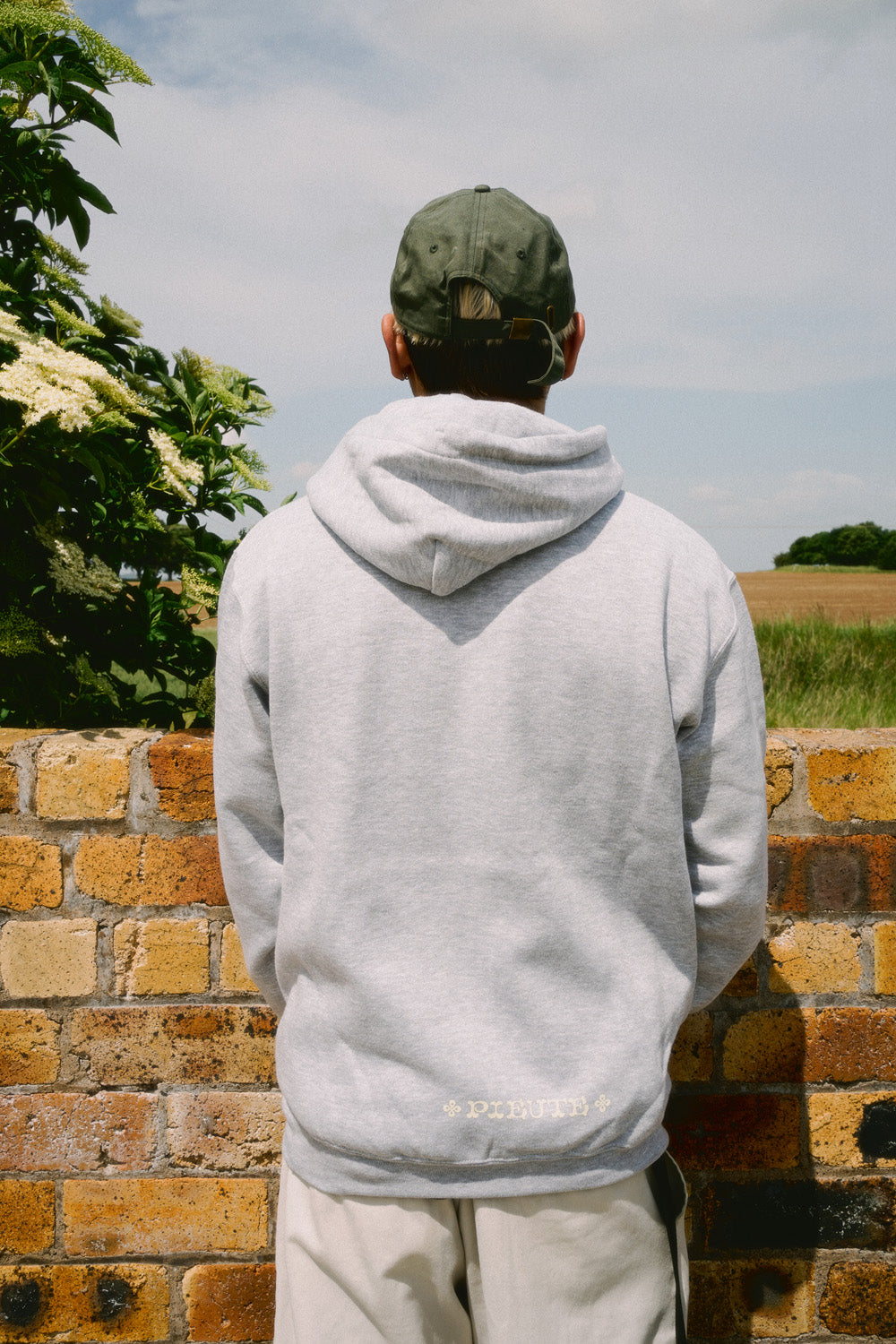 Celtic Lion - Hood - Grey