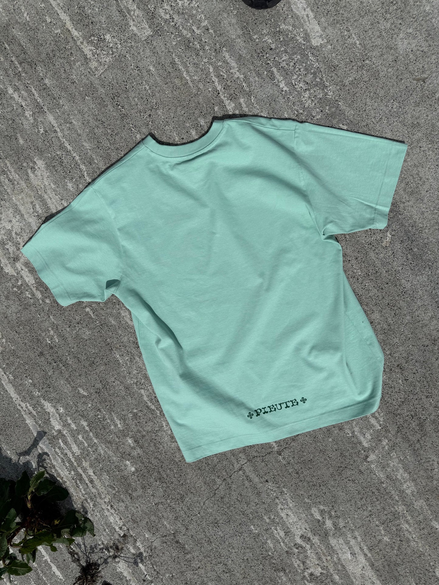 Celtic Lion - Misty Jade