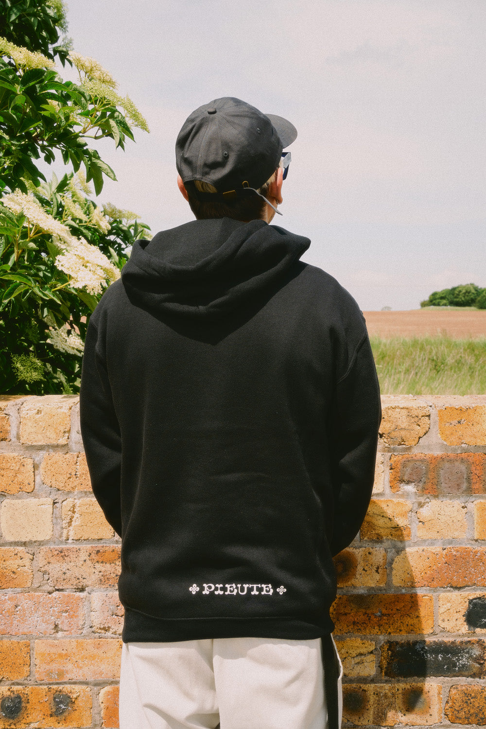 Celtic Lion - Hood - Black